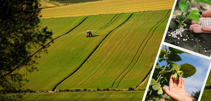5 MİLYAR 948 MİLYON LİRALIK DESTEKLEME ÖDEMESİ BUGÜN HESAPLARA AKTARILACAK